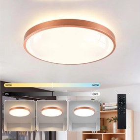 BRILAGI - Corp de iluminat LED reglabil GLASS POOL DOUBLE LED/60W/230V 50 cm cu finisaj cupru + telecomandă