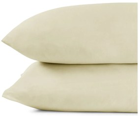 Fețe de pernă 2 buc. 40x40 cm Amber – DecoKing