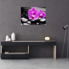 Tablou pe sticlă - Orhidee violet (70x50 cm)
