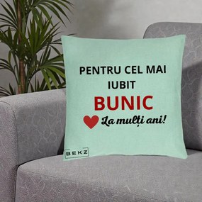 Cadou pentru Bunic - Perna Personalizata Pentru Cel Mai Iubit Bunic La Multi Ani Rosu, 40x40 cm, Verde Menta, Husa Detasabila, Perna Inclusa, BEKZ®