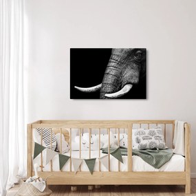 Tablou - Colți de elefant (90x60 cm)