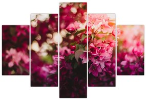 Tablou cu florile tufișului înflorit (150x105 cm)