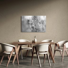 Tablou - Iarbă de pampas Boho (90x60 cm)