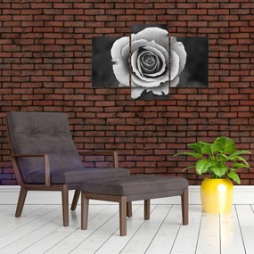 Tablou - Trandafir (90x60 cm)