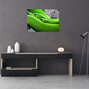 Tablou pe sticlă cu șerpi verzi (70x50 cm)