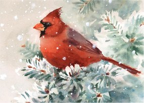 Tablou - Cardinal (70x50 cm)