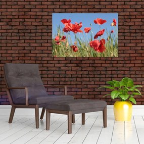 Tablou - Maci (90x60 cm)