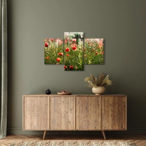 Tablou cu maci (90x60 cm)