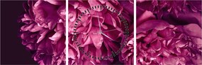 Tablou - Floarea bujorului (cu ceas) (90x30 cm)