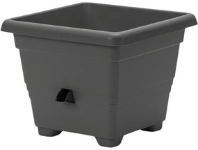 Plastia Ghiveci auto-udare Plastia Bergamot 35 x 35 cm,gri, 35 x 35 cm