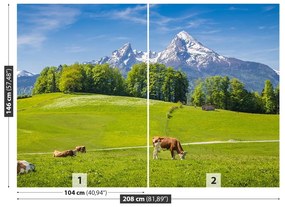 Fototapet Alpi Cow