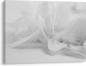 Tablou - Pene (70x50 cm)