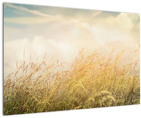 Tablou - Câmp toamna (90x60 cm)