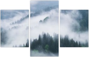 Tablou - Copacii în ceață (90x60 cm)
