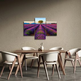 Tablou - Câmp de lavandă (90x60 cm)