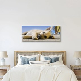 Tablou cu cățeluș dormind (120x50 cm)