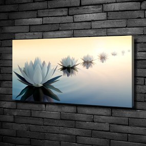 Tablouri tipărite pe pânză Flori de lotus