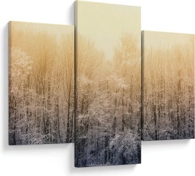 Tablou cu pădure geroasă (90x60 cm)