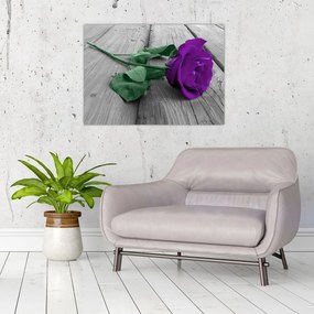 Tablou pe sticlă - Trandafir violet cu tulpina verde (70x50 cm)