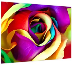 Tablou pe sticlă - Trandafir colorat (70x50 cm)