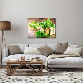 Tablou cu menta proaspătă (70x50 cm)