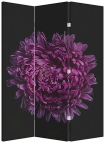 Paravan - Floare violetă (126x170 cm)
