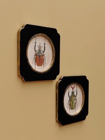Set 2 tablouri cu insecte, cu rama din lemn, Beetles