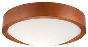 Plafonier 1xE27/60W/230V, iluminare plafon simplă și eficientă