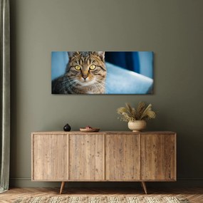 Tablou - Pisica domestică (120x50 cm)