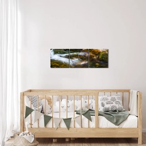 Tablou cu părâu (cu ceas) (90x30 cm)