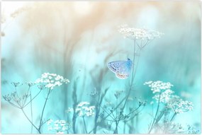 Tablou - Fluture în albastru (90x60 cm)