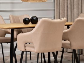Scaun Carl (bej + negru). 1111012