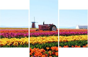 Tablou cu farma de lalele (90x60 cm)