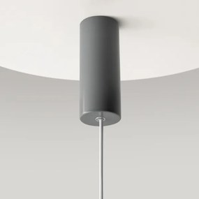 Maytoni MOD189PL-L12GR3K1 - Lustră LED suspendată pe cablu GERHARD LED/19W/230V gri