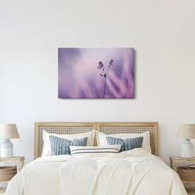 Tablou - Fluturi mov (90x60 cm)