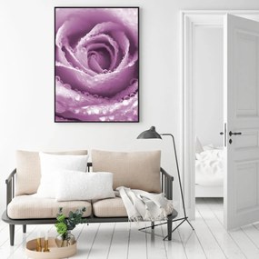 Poster - Trandafir (A4)