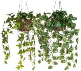 Plante artificiale 2 buc. (înălțime 50 cm) – Casa Selección