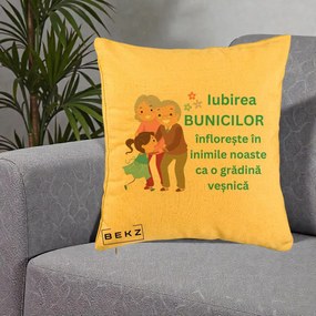 Cadou pentru Bunici - Perna Personalizata Bunicii Iubirea Infloreste cu Nepoata Teal, 40x40 cm, Galben, Husa Detasabila, Perna Inclusa, BEKZ®