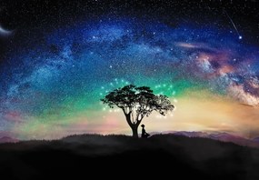 Fototapet - Aurora și copaci (147x102 cm)