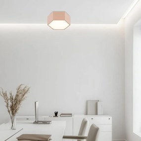 Plafoniera, Spot aplicat LED LIBERO piersica