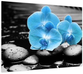 Tablou - Orhidee albastră (70x50 cm)