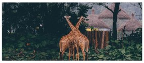 Tablou cu două girafe (120x50 cm)