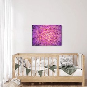 Tablou detailat cu floare (70x50 cm)