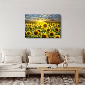 Tablou - Floarea-soarelui la apus de soare (90x60 cm)