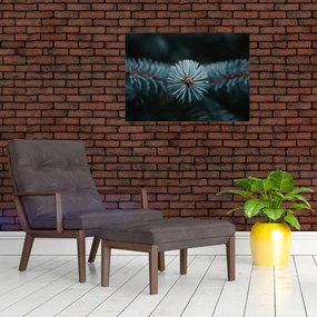 Tablou -Crenguțe ale unui conifer (70x50 cm)