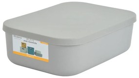 Cutie de depozitare gri din plastic cu capac 24x18x8 cm – Homéa