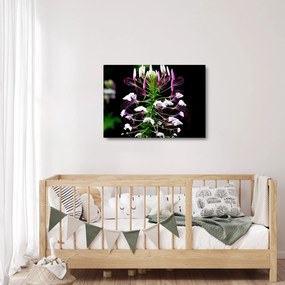 Tablou pe sticlă cu floare (70x50 cm)