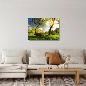 Tablou pe sticlă lunca ne primăvară (70x50 cm)