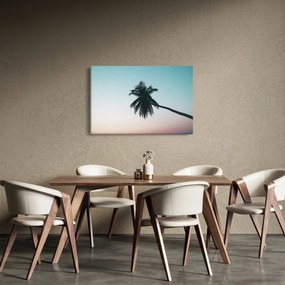Tablou - Palmier la Bali (90x60 cm)