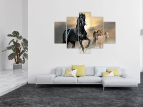 Tablou - Cai (150x105 cm)